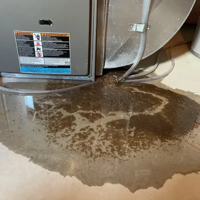 Appliance Leak Cleanup in Prowers County, CO